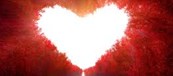 Il territorio dell’amore di Ilaria Vergine
